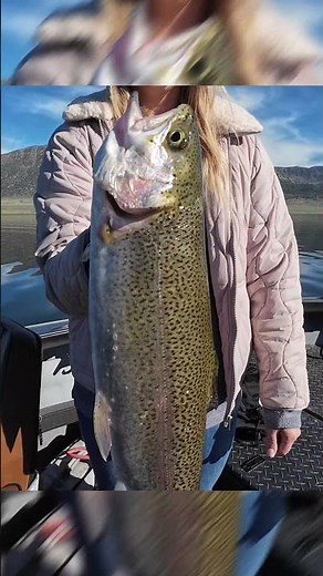 Trolling Bridgeport Reservoir with Guide Wes Hoskin | Catch with Max