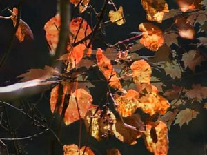 八ヶ岳野辺山高原の四季
