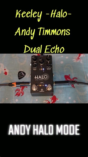 Keeley Halo Andy Timmons Dual Echo andy mode #guitar #keeley #halo #delay #pedal #silversky