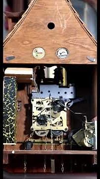 How A Cuckoo Clock Works - So Amazing!!!