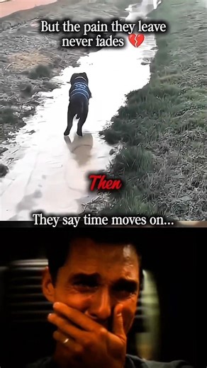 Dog sad moments 🥺(pt-16)#shorts