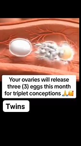 You are pregnant | Ana Fertility Corner