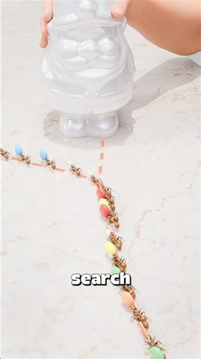 How To Actually Stop An Ant Invasion 🐜😱