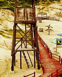 3.1K views · 455 reactions | Esta Semana Santa conoce el arrecife de coral más grande del Golfo de California... Más cerca de lo que crees. | Los Cabos Tourism | Facebook