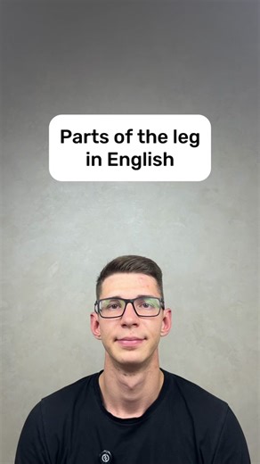 Learning English Vocabulary: Parts of the Leg