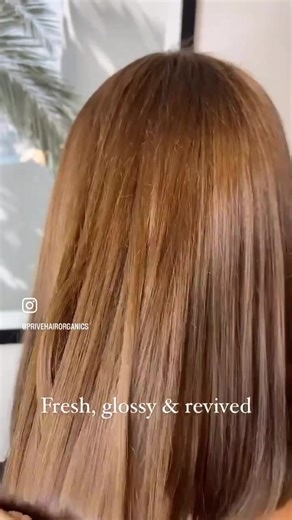Privé Hair Organics on TikTok