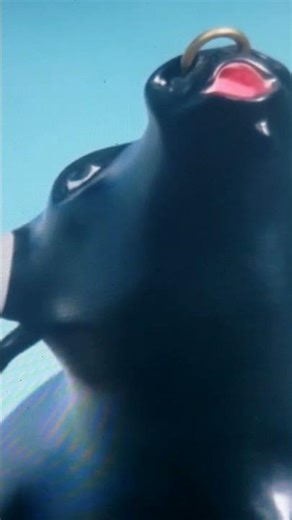 Bee Smart Baby Vocabulary Builder 3