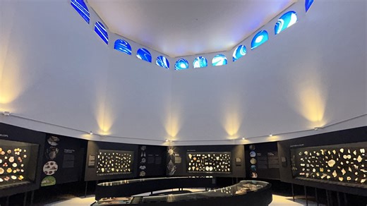 What to know: Bailey-Matthews National Shell Museum & Aquarium's new Great Hall of Shells