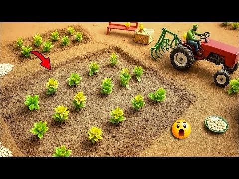 DIY Mini Farm at Home | Easy Organic Farming 🌱