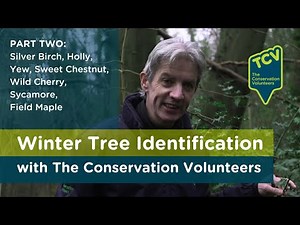 Winter Tree Identification (Part 2)