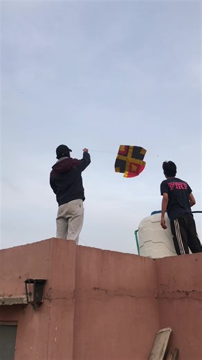 The Joy of Kite Flying: Tips and Techniques