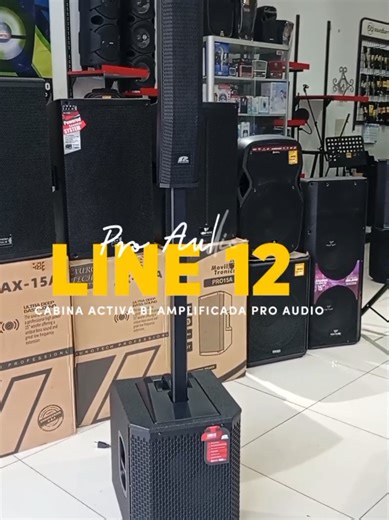 ¿Buscas un equipo de sonido potente, compacto y profesional para tus eventos? 🔥 Te presento el Line 12 de Pro Audio, un sistema con 700 watts RMS de potencia real, perfecto para eventos, DJs, iglesias, conferencias y presentaciones en vivo. Incluye subwoofer de 12 pulgadas, cuatro medios de 4 pulgadas y driver de neodimio, logrando graves profundos y sonido súper claro. Además tiene Bluetooth 5.3 con tecnología TWS, para conectar dos equipos inalámbricamente y duplicar el sonido. Cuenta con ent