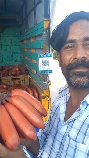 செவ்வாழை சீசனுங்கோ !