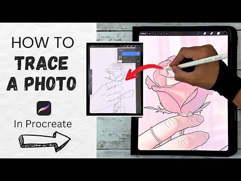 How to Trace a Photo in Procreate | Easy Beginner Tutorial (Step by Step)