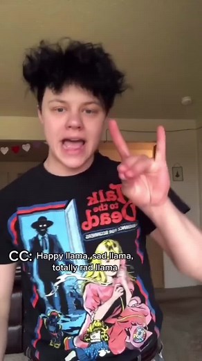 #stitch with @cosmorahbee so many variations of this 🤣 #happyllama #llamasong