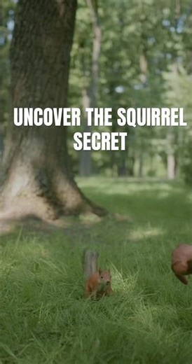 Squirrels Have a Secret Skill… Thieves Hate This 🐿️😳