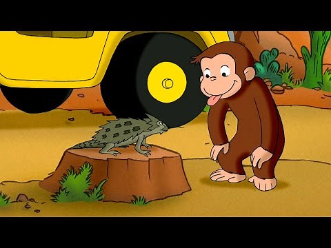 ¡El desierto está lleno de vida! | Jorge El Curioso En Español