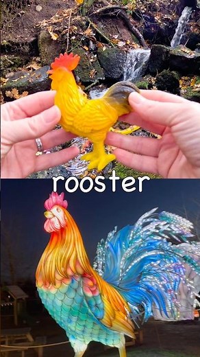 Animal Names for Kids to Learn at the Waterfall: Rooster Lion Horse Elephant Zebra