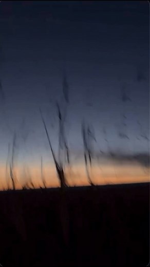 DUCK SZN BABY 🦆 #duckhunting #duckseason #mallards #havocboats #mudmotor #surfacedrive #sitkawaterfowl #waterfowlhunting #waterfowl #hunting #mudboat #arkansasoutdoors #ducks #camo | Wacky Outdoorsman