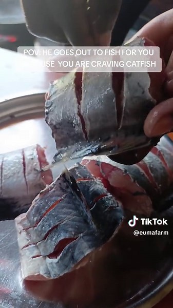 Fresh Catfish from the Lake to the Plate Cooking Video