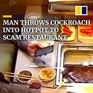 111K views · 669 reactions | A man was caught throwing cockroaches into his meal to scam a restaurant for compensation. | South China Morning Post | Facebook
