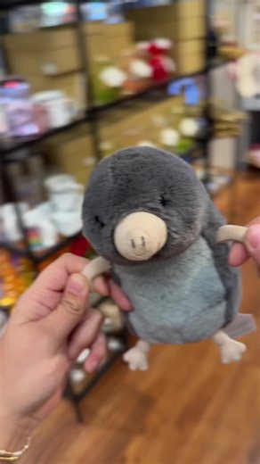 Amber Marie & Company on TikTok