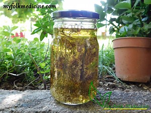 Yarrow Tincture Recipe and Its 6 Uses - My Folk Medicine