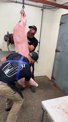 Half of a Pig. 🐷 Full Pig Breakdown video is on our YouTube channel! #fyp #foryou #pork #pig #butcher #butchering #thebeardedbutchers #youtube #porkcuts