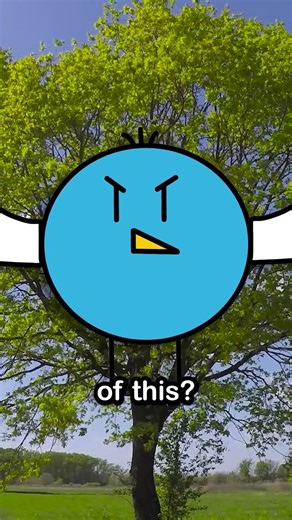 The Internet's Dumbest Websites