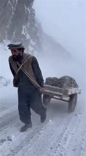 Strongman Training Techniques for Peak Performance