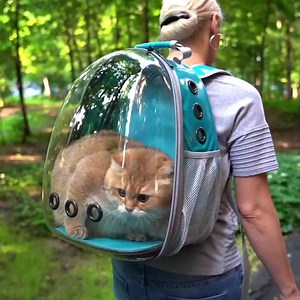 834K views · 6.1K reactions | This device let's you take your kitty everywhere!  | The Hook | Facebook