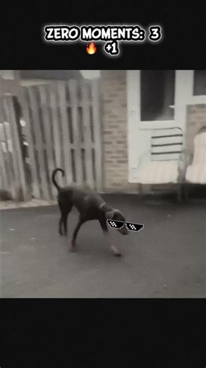 ooopss moments #lmao #memes #helpmemakethismakesense