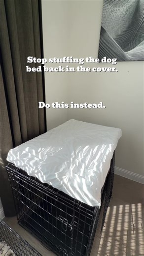 Time-Saving Dog Bedding Hacks for Busy Moms