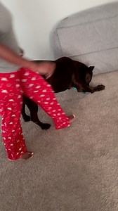 Payback is a mutha 😭 | Raising Bane