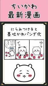 [Chiikawa Manga Latest Chapter] Will Chiikawa turn into a panda? #ChiikawaLatestChapter #Chiikawa...