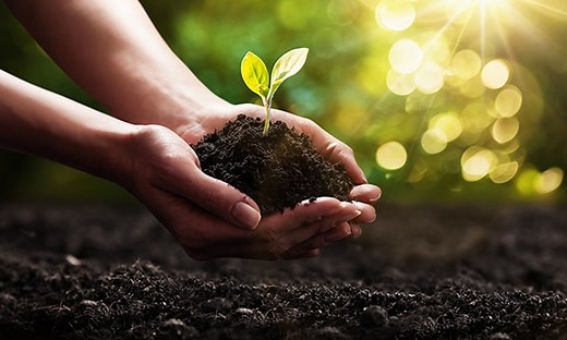 Our Promise for Sustainability