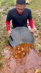 Discovery of a river of rusty gold #discovery #GoldenRiver #river #rusty #goldhunter #gold #goldmining #goldpanning | Nepri Andries