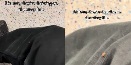 Horror as bedbug spotted crawling on woman's leg in the London Underground