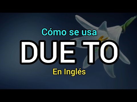 ✅️ 10 frases con DUE TO en inglés