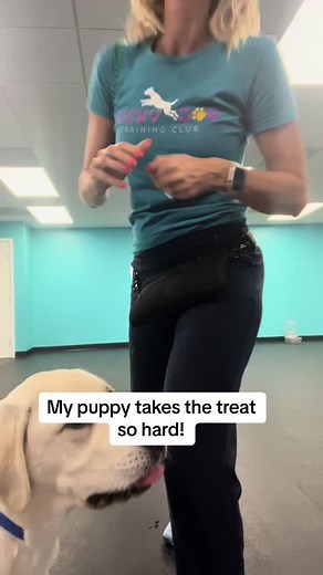 Jamie Diaz on TikTok