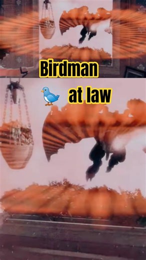 Songbird 🎵 🐦 Bioshock Infinite.