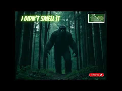 The Creature Was So Close But I DIDN'T SMELL IT | Why?