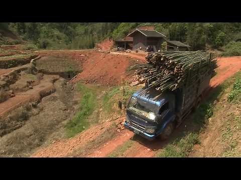 Chine, le dragon ne meurt jamais | Les routes de l'impossible