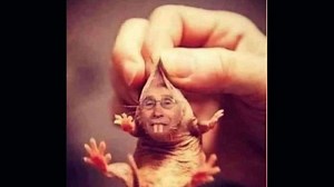 Dave Hodges & ex-DHS Agent "Wrecker" (1/27/2022): U.S. Faces Two Nation-Extinction Events