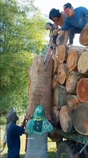 This trick helps worker load big logs without bulldozer #shortsvideo