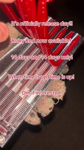 Ruby Red available! #smallbussiness #newdropalert🚨 #fyp #custombaits | rubyred