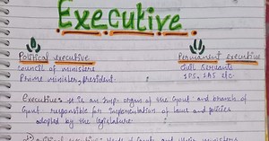 Handwritten Notes of Executive - Political Science - Class 11th 'Humanities'