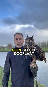 Weet jij hoe het komt dat uilen geen geluid maken tijdens het vliegen? #uil | De Roofvogelboerderij