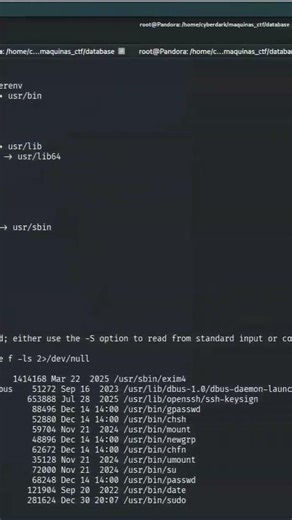 Enumeración SUID #SUID #FindSUID #DatabaseLab #Privesc