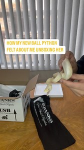 1.3K reactions · 76 shares | I don’t think my new Ball Python enjoyed her trip to her new home it’s ok we’ll work it out together﫶❤️ | BALLS of FURY | Facebook